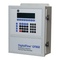 GE DigitalFlow GF868 Startup Manual