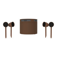 Origin Acoustics ACOUSTIC LANDSCAPE COLLECTION AS50SYS Installation Manual