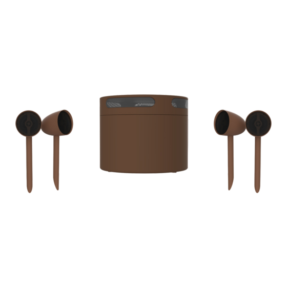 Origin Acoustics ACOUSTIC LANDSCAPE COLLECTION AS50SYS Installation Manual