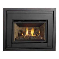 Regency Fireplace Products E18 Owners & Installation Manual