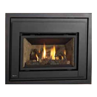 Regency Fireplace Products E18 Owners & Installation Manual