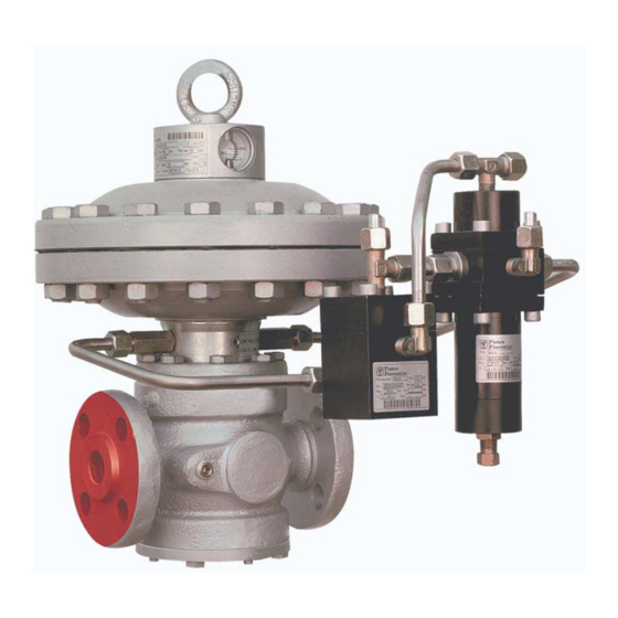 PIETRO FIORENTINI Reflux 819 Use And Maintenance Manual