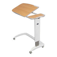 renray Healthcare ENTERPRISE PT10 Instructions For Use Manual