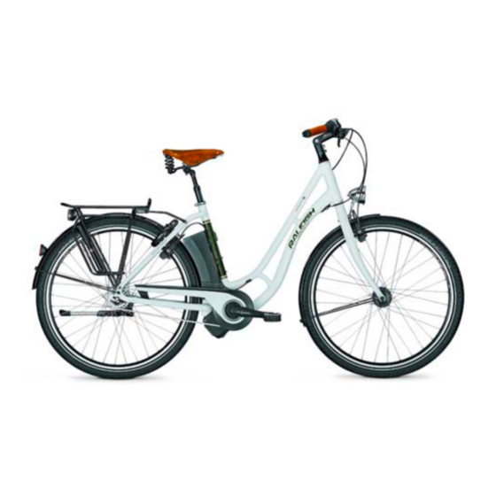 Raleigh Pedelic User Manual