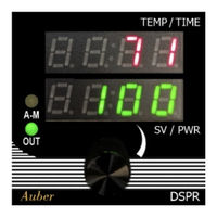 Auber Instruments DSPR-5 User Manual
