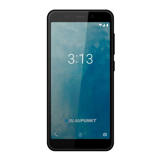Blaupunkt SM 02 User Manual