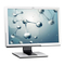 Monitor Fujitsu P24W-5 ECO Operating Manual
