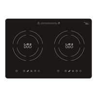 True Induction MD-2B Manual