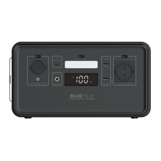 BLUEPALM BP-300OK Operating Instructions Manual
