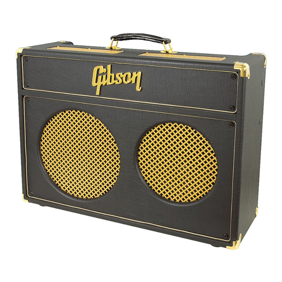Gibson Super Gold Tone 30RV Manuals