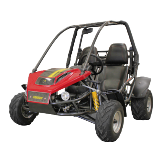 Carbide 150cc hot sale go kart