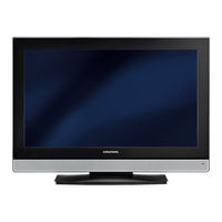 Grundig Vision 3 19-3830 T Manual