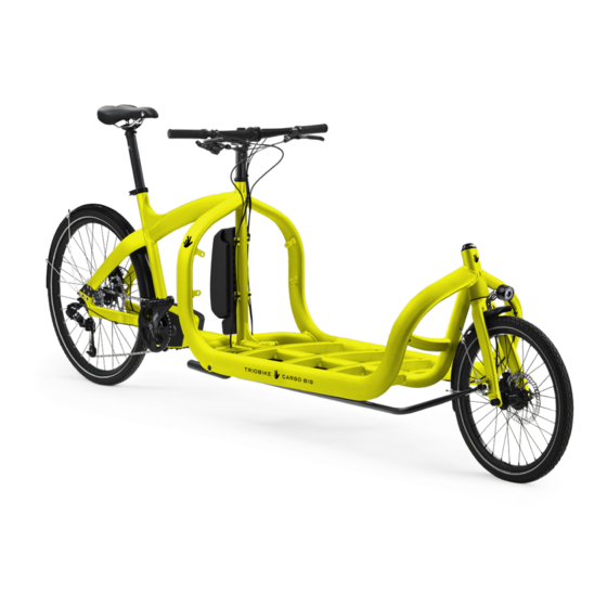 TRIOBIKE CARGO BIG Original Instructions Manual