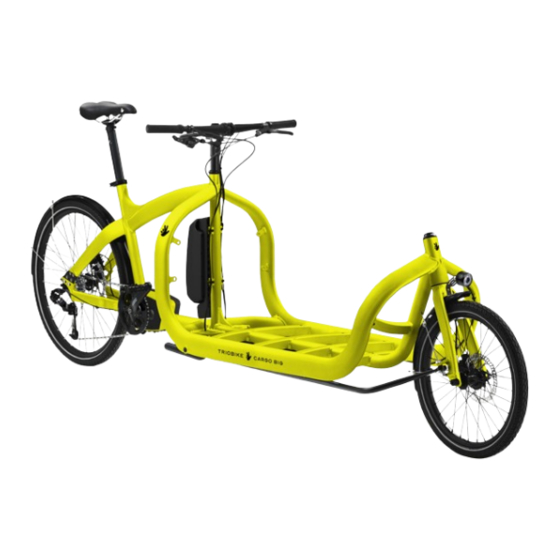 TRIOBIKE CARGO BIG Installation Manual