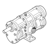 Pentair Aurora Edwards 150 Maintenance Manual