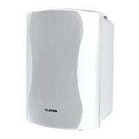 Clever Acoustics BGS 25T - CRSP29 User Manual