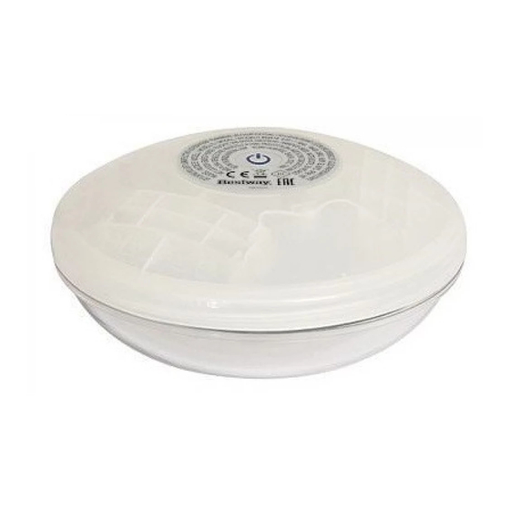 Bestway 58419 Manual