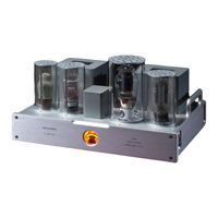 ALLNIC AUDIO A-5000 DHT Owner's Manual