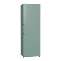 Gorenje R6191FX Instruction Manual