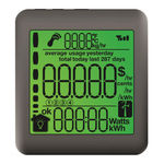 Landis & Gyr ecoMeter P250 User Manual