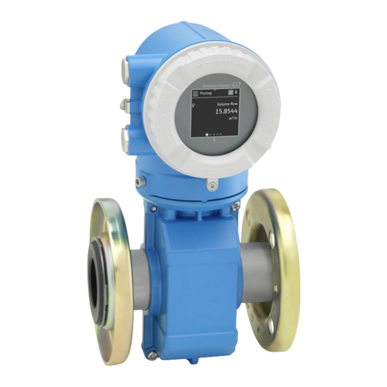 Endress+Hauser Proline Promag 10 Brief Operating Instructions