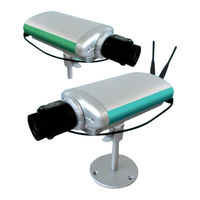 iCanTek iCanView 110W User Manual