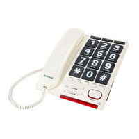 Activocal AmpliTalk 100 User Manual