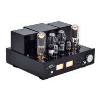 Line Magnetic LM-508IA Manual