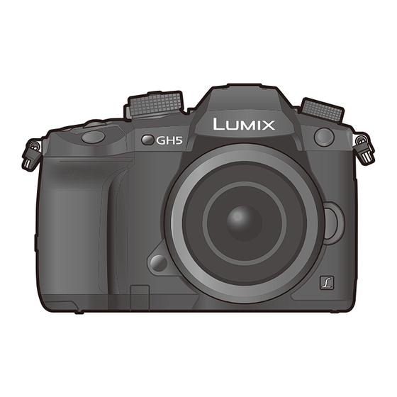 Panasonic Lumix GH5S Manuals