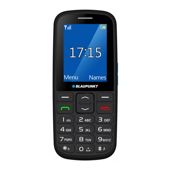 Blaupunkt BS 04i User Manual