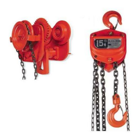 Daekyung BLACK BEAR HOIST DS Series User Manual