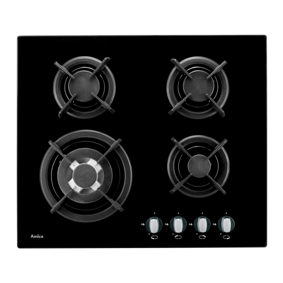 Amica PTCG 4.1 Series Instruction Manual