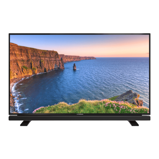 Grundig 32GFB6628 Manual