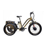 Electric Bike Technologies FAT TRIKE Owner's Manual