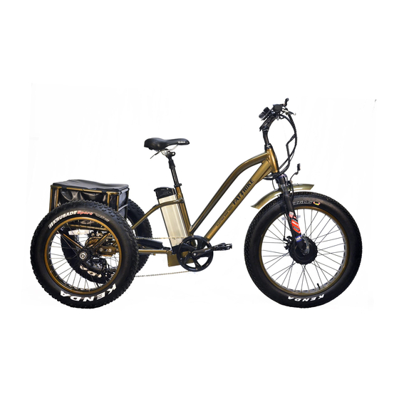 Electric Bike Technologies FAT TRIKE Owner's Manual