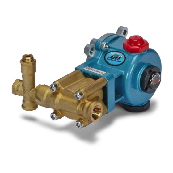 CAT Pumps 1CX Series Service Manual