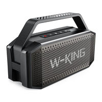 W-King - D9-1