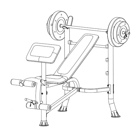 Insportline Hero B80 User Manual
