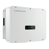 Rayleigh Instruments RI-ENERGYFLOW 3P Series User Manual