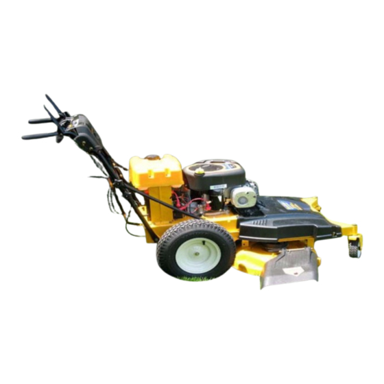 Cub Cadet 12AE764N709 Shop Manual