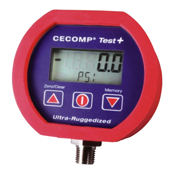 Absolute Process Instruments Cecomp Test+ CTP3B Instructions