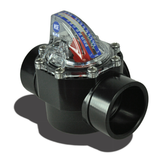 H2flow FLOWVIS Instruction Manual