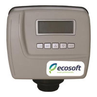 Ecosoft WS1 CE Manual