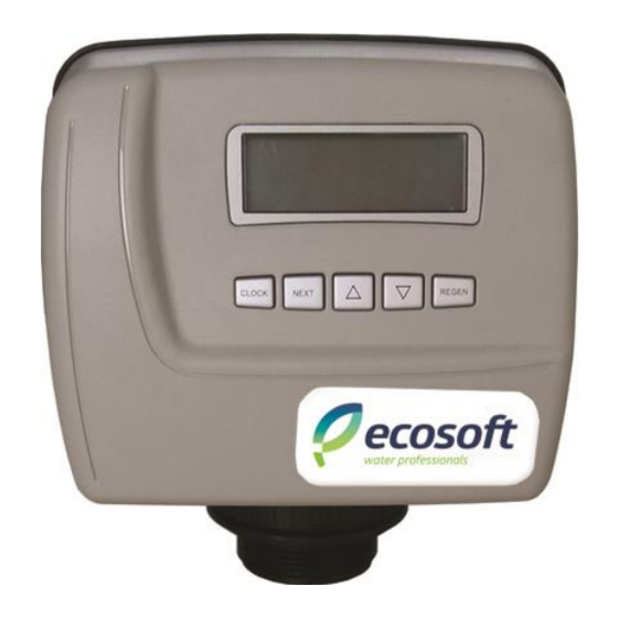 Ecosoft WS1 CE Manuals