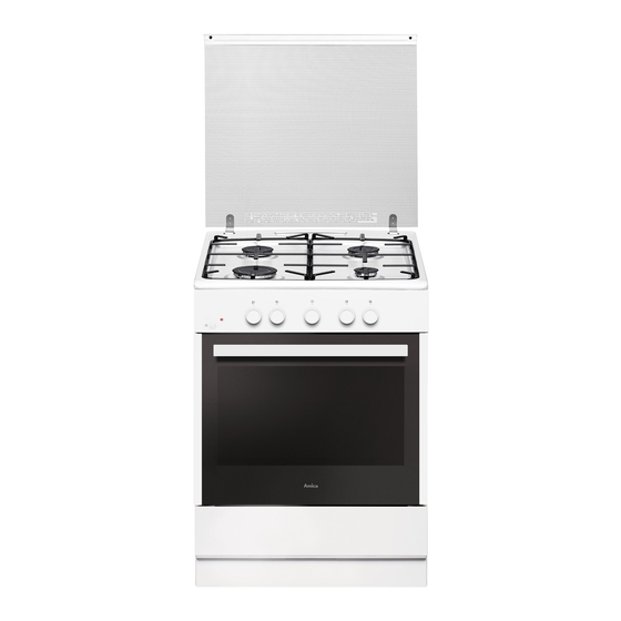 Amica SHGG 910 100 W Instruction Manual