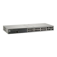 Levelone FGL-2870 User Manual