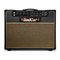 Bad Cat WILD CAT 40R - Guitar Amplifier Manual