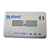 Beinat RGX100Q/Eg Manual