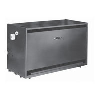 Weil-McLain EG 40 Manual