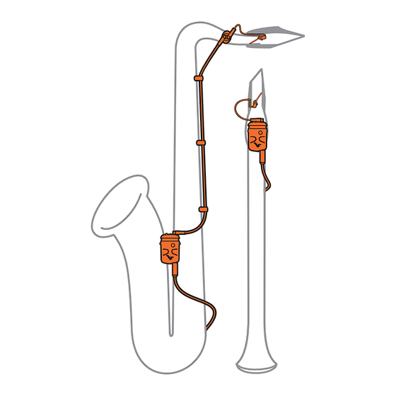 VigaMusicTools intraMic User Manual
